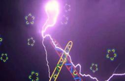 Happy Diwali To Your Family and friends