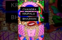 Shree Kashtbhanjandev Hanumanji Salangpur Status video