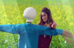 Mari te nath nu kachhu sonu | Gujarati status video