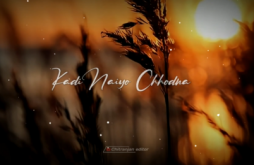 Arijit Singh Love  Status Video