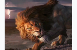 Best Attitude Video Status Download