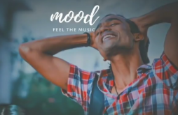 Love Whatapp Video Status 2022