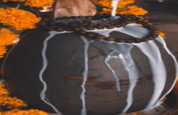 Mahadev | bholenath new video status dawonload