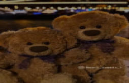 Teddy day new status video dawonload