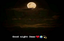 Good night new video status dawonload