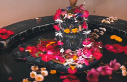 Mahadev new video status dawonlaod