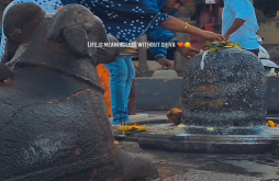 Mahadev new whatsapp video status