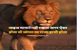 Boys attitude video status