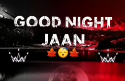 Good Night whatsapp video status