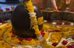 Mahadev new video status