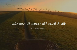 Shayari new video status 2023