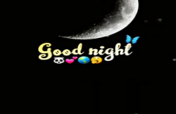 Good night new whatsapp video status