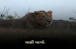 Mafi attitude video status dawonload