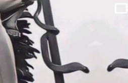 Mahadev video status download 2023