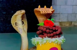 Mahadev video status download 2023